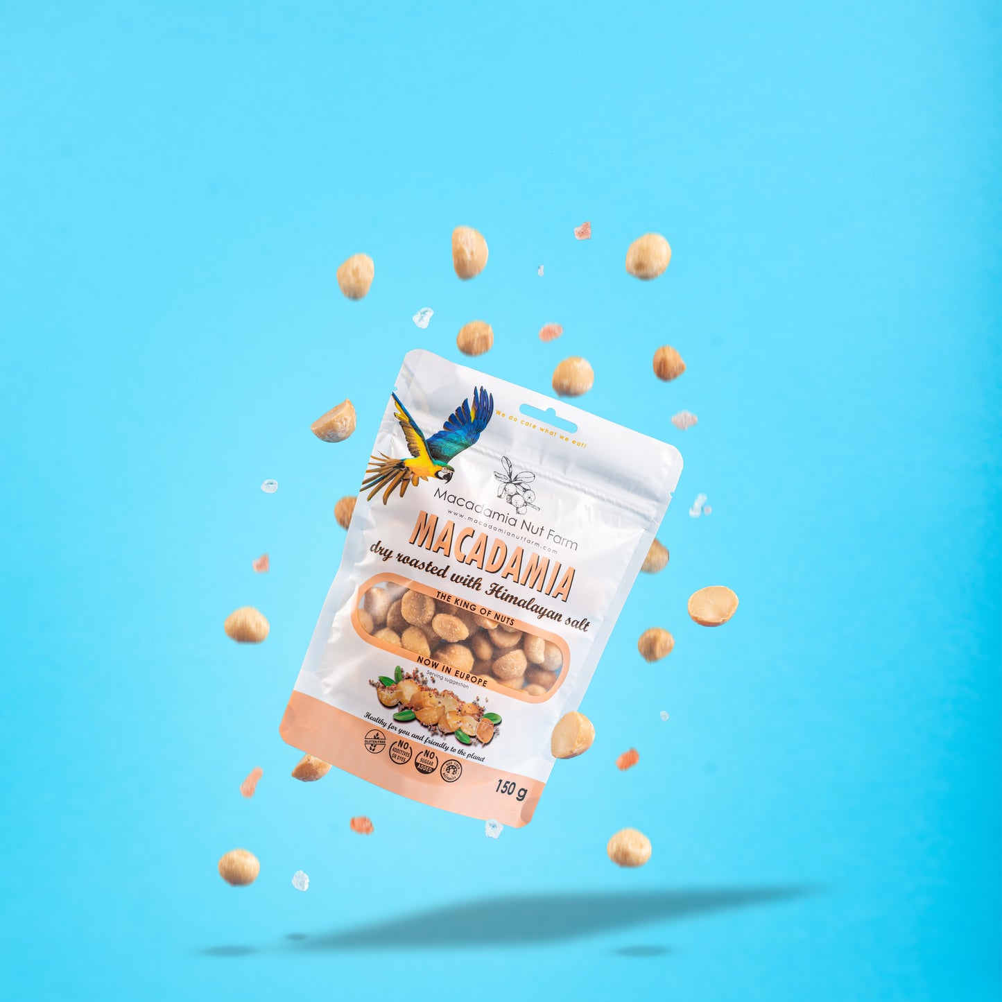 Skrudinti sūdyti makadamijų riešutai