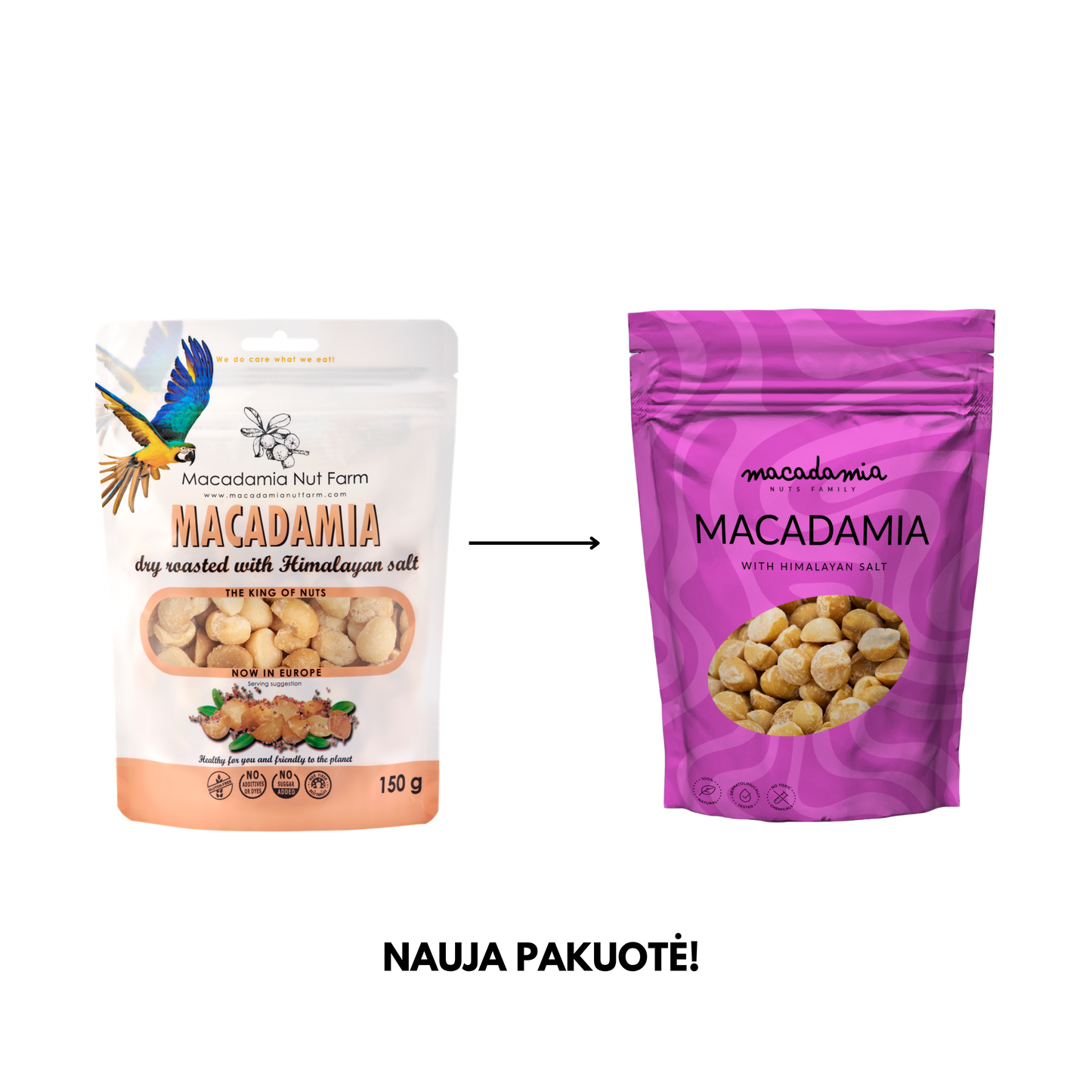 Skrudinti sūdyti makadamijų riešutai